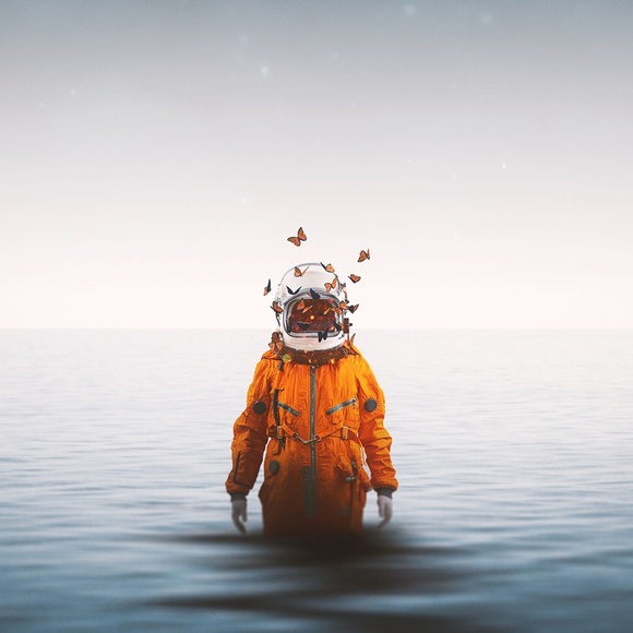 Meet your Posher, James - Picture 1 of 1